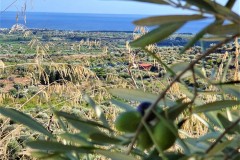 Panorama-2